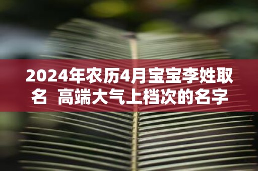 2025年农历4月宝宝李姓取名 高端大气上档次的名字