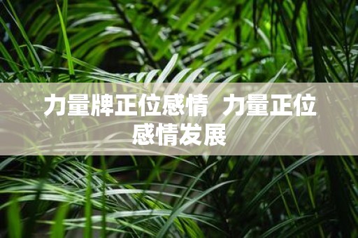 力量牌正位感情 力量正位感情发展