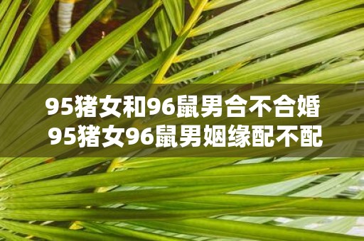 95猪女和96鼠男合不合婚 95猪女96鼠男姻缘配不配