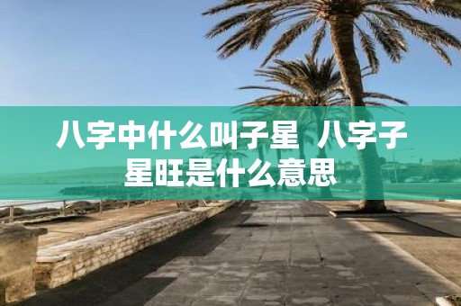 八字中什么叫子星 八字子星旺是什么意思
