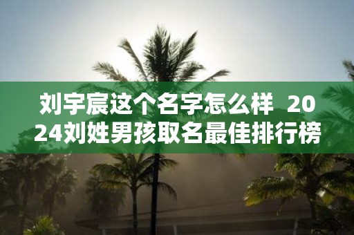 刘宇宸这个名字怎么样 2025刘姓男孩取名最佳排行榜