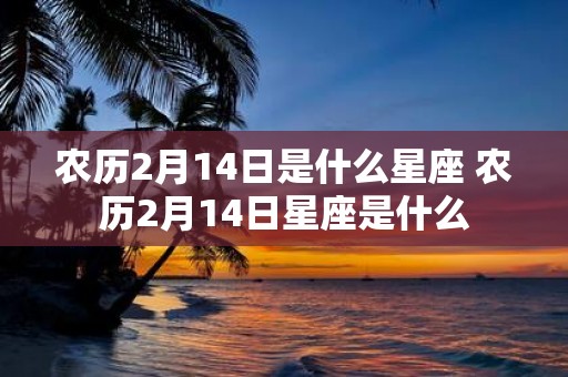 农历2月14日是什么星座 农历2月14日星座是什么