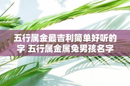 五行属金最吉利简单好听的字 五行属金属兔男孩名字