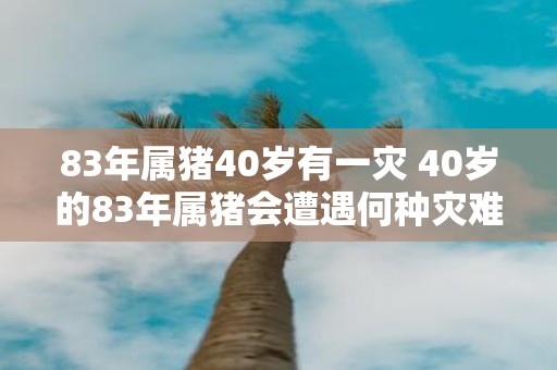 83年属猪40岁有一灾 40岁的83年属猪会遭遇何种灾难