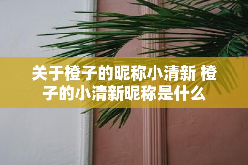 关于橙子的昵称小清新 橙子的小清新昵称是什么