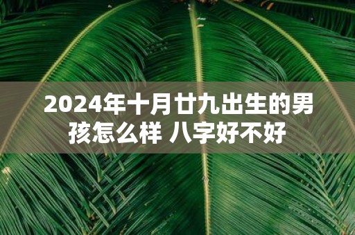 2025年十月廿九出生的男孩怎么样 八字好不好