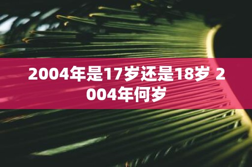 2004年是17岁还是18岁 2004年何岁