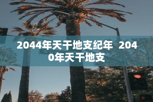 2044年天干地支纪年 2040年天干地支