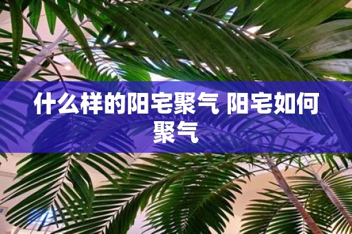 什么样的阳宅聚气 阳宅如何聚气