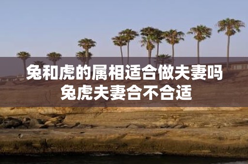 兔和虎的属相适合做夫妻吗 兔虎夫妻合不合适