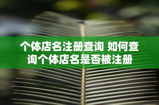 个体店名注册查询 如何查询个体店名是否被注册