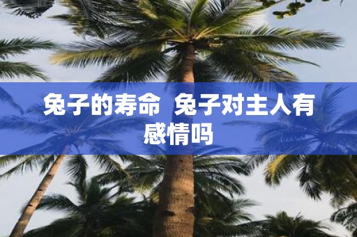 兔子的寿命 兔子对主人有感情吗