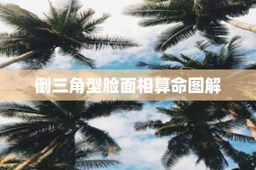 倒三角型脸面相算命图解