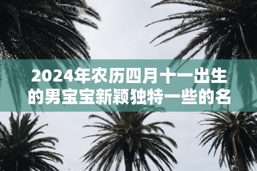 2025年农历四月十一出生的男宝宝新颖独特一些的名字