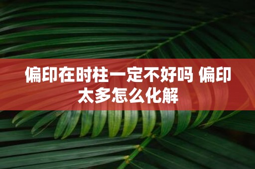 偏印在时柱一定不好吗 偏印太多怎么化解