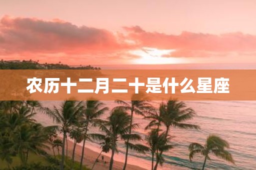 农历十二月二十是什么星座