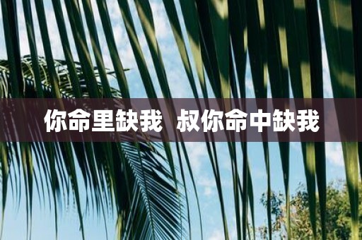 你命里缺我 叔你命中缺我