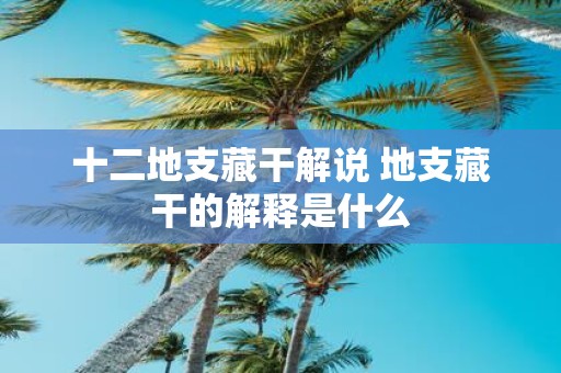 十二地支藏干解说 地支藏干的解释是什么