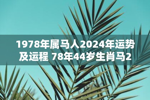 1978年属马人2025年运势及运程 78年44岁生肖马2025年每月运势