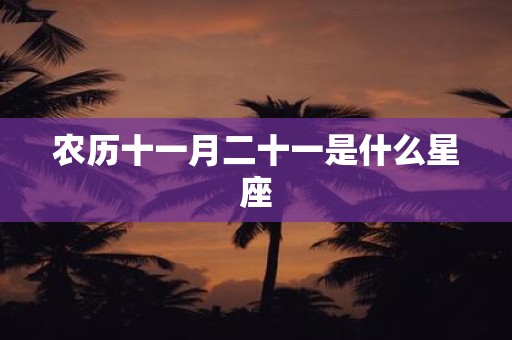 农历十一月二十一是什么星座
