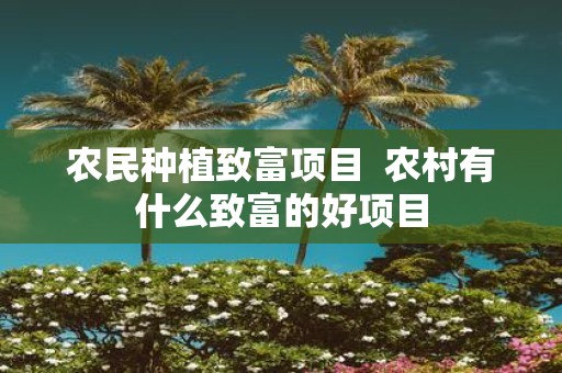 农民种植致富项目 农村有什么致富的好项目