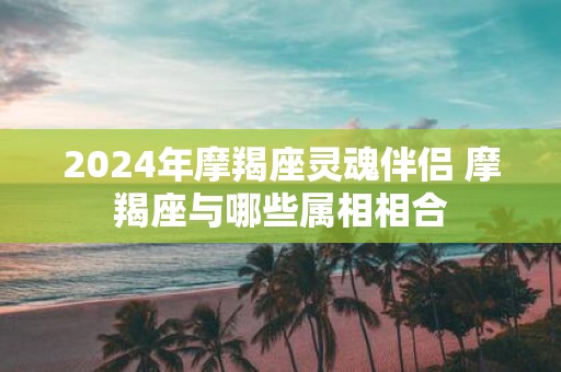 2025年摩羯座灵魂伴侣 摩羯座与哪些属相相合