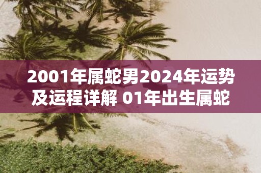 2001年属蛇男2025年运势及运程详解 01年出生属蛇人2025全年每月运势男性