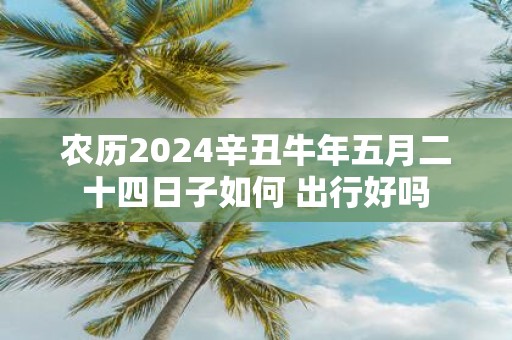 农历2025辛丑牛年五月二十四日子如何 出行好吗