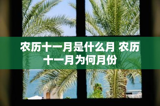 农历十一月是什么月 农历十一月为何月份