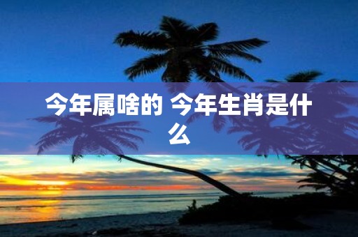 今年属啥的 今年生肖是什么