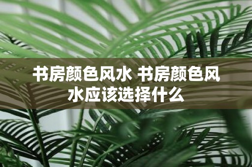 书房颜色风水 书房颜色风水应该选择什么