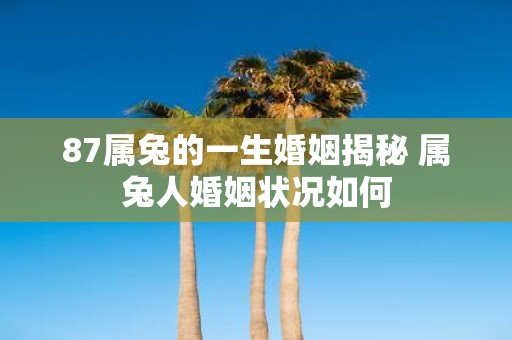 87属兔的一生婚姻揭秘 属兔人婚姻状况如何