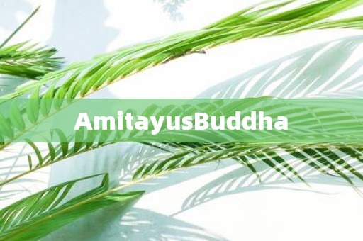AmitayusBuddha AmitayusBuddha