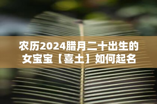 农历2025腊月二十出生的女宝宝【喜土】如何起名