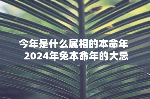 今年是什么属相的本命年 2025年兔本命年的大忌