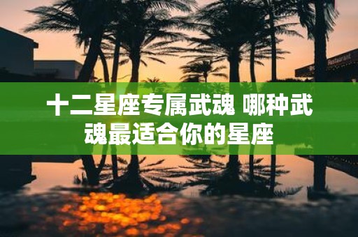 十二星座专属武魂 哪种武魂最适合你的星座