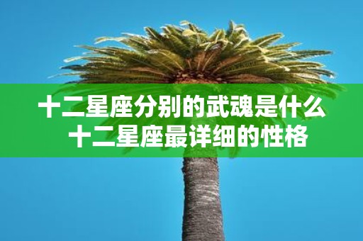 十二星座分别的武魂是什么 十二星座最详细的性格