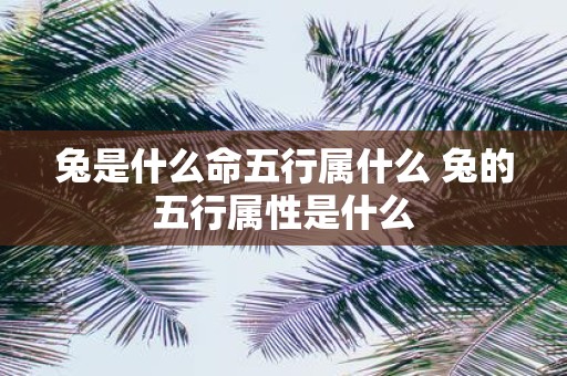 兔是什么命五行属什么 兔的五行属性是什么