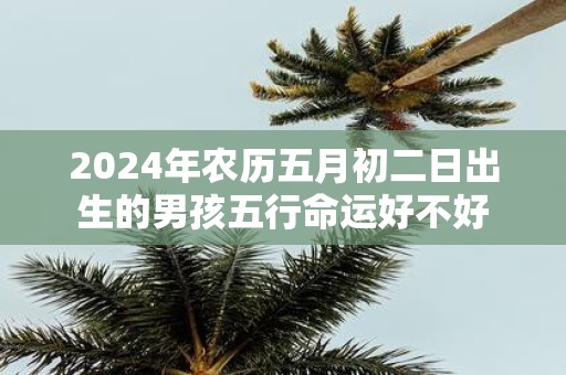 2025年农历五月初二日出生的男孩五行命运好不好