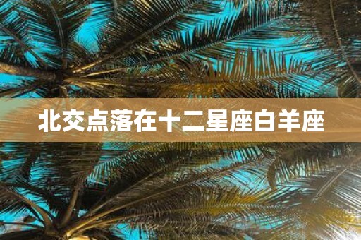 北交点落在十二星座白羊座