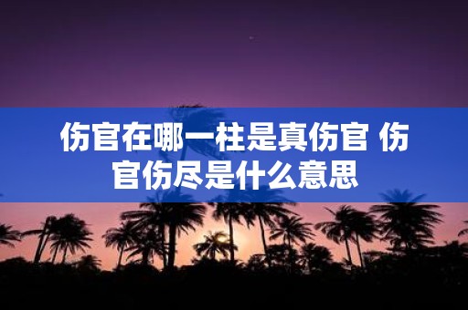伤官在哪一柱是真伤官 伤官伤尽是什么意思