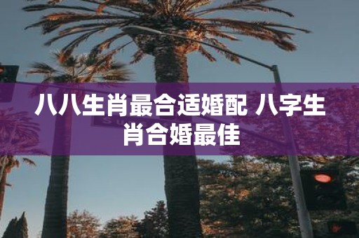 八八生肖最合适婚配 八字生肖合婚最佳
