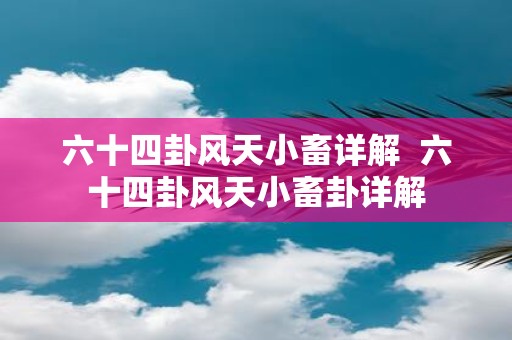 六十四卦风天小畜详解 六十四卦风天小畜卦详解