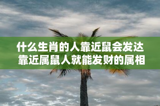 什么生肖的人靠近鼠会发达 靠近属鼠人就能发财的属相