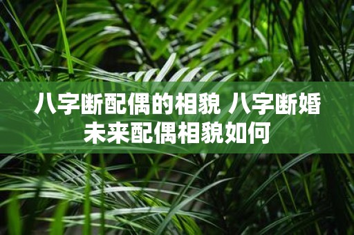 八字断配偶的相貌 八字断婚未来配偶相貌如何