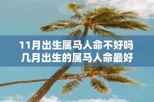 11月出生属马人命不好吗 几月出生的属马人命最好