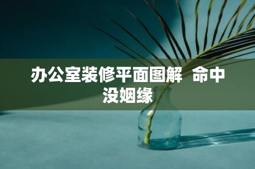 办公室装修平面图解 命中没姻缘