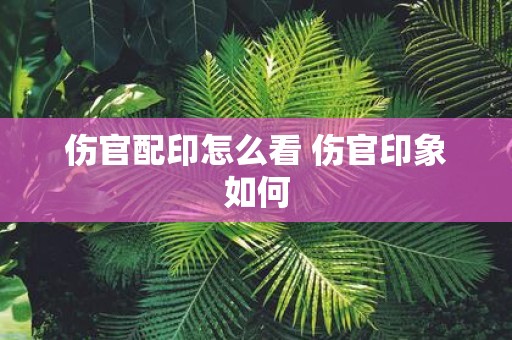 伤官配印怎么看 伤官印象如何