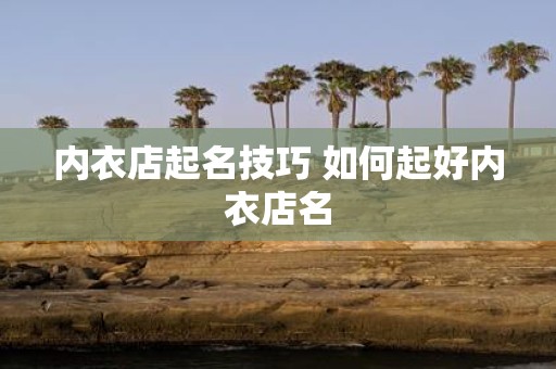 内衣店起名技巧 如何起好内衣店名