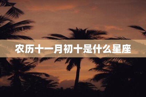 农历十一月初十是什么星座